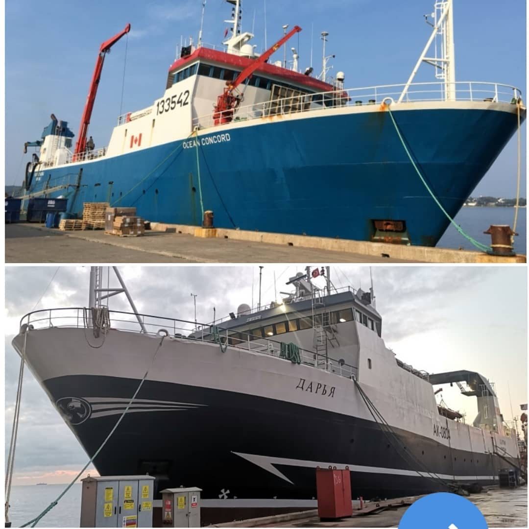 Ocean Concorde → FV Daria